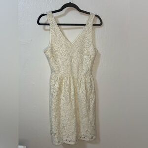 Everly Women’s Small Polka Dot Lace V-Neck Dress